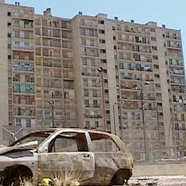 Bilder Das Recht des Stärkeren