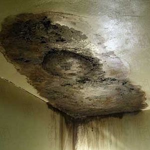 Bilder Dark Water - Dunkle Wasser