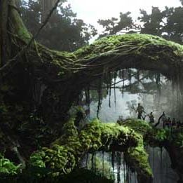 Bilder Peter Jackson