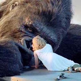 Bilder Peter Jackson