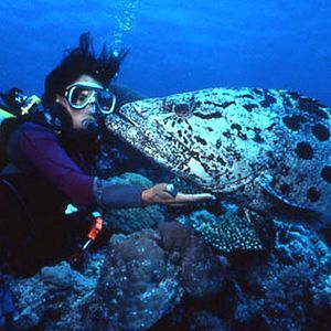 Bilder Greg MacGillivray