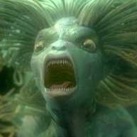 Bilder Harry Potter und der Feuerkelch