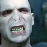 Bilder Harry Potter und der Feuerkelch