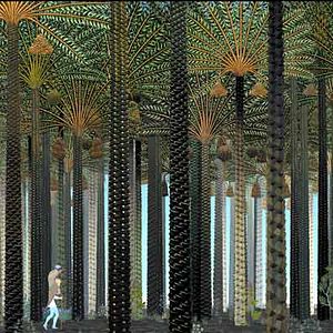 Bilder Michel Ocelot