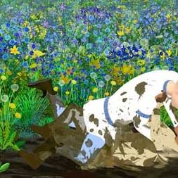 Bilder Michel Ocelot