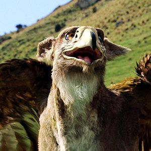 Bilder Andrew Adamson