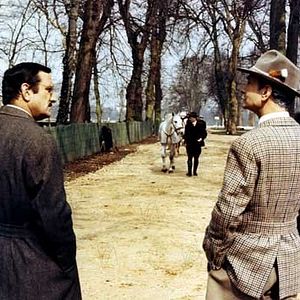 Bilder Armee im Schatten