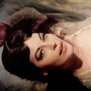 Bilder Die Ritter der Tafelrunde