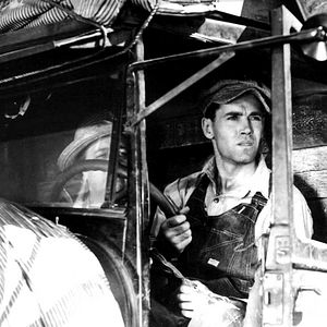 Bilder Früchte des Zorns