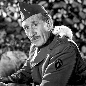 Bilder Noël Roquevert