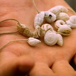 Bilder Atilla Janish