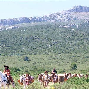 Bilder Mary McGuckian