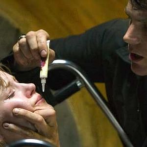 Bilder Brian Van Holt