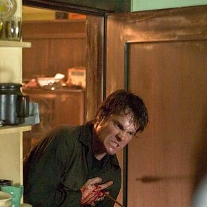 Bilder Brian Van Holt