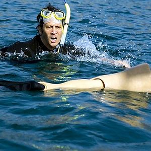 Bilder Deuce Bigalow: European Gigolo