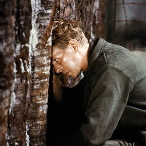 Bilder Furyo - Merry Christmas, Mr. Lawrence