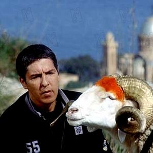 Bilder Merzak Allouache