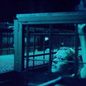 Bilder Christopher Smith