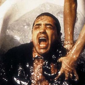 Bilder Jeremiah S. Chechik