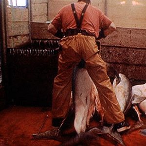 Bilder Julien Samani