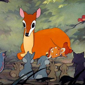 Bilder Bambi