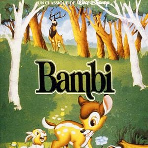 Bilder Bambi