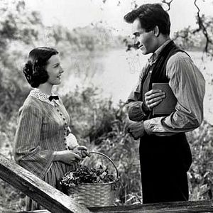 Bilder Der junge Mr. Lincoln