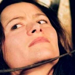 Bilder Nicolas Guillou