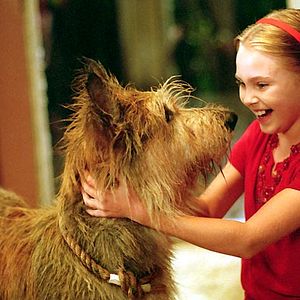 Bilder AnnaSophia Robb