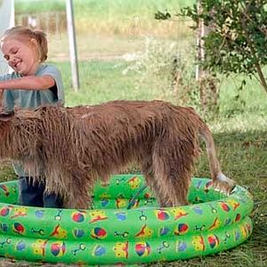 Bilder AnnaSophia Robb