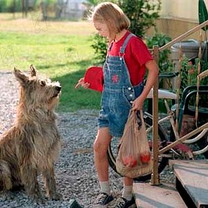 Bilder AnnaSophia Robb