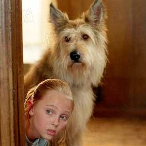 Bilder AnnaSophia Robb