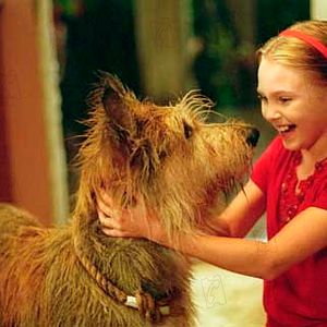 Bilder AnnaSophia Robb