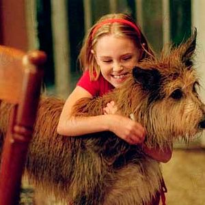 Bilder AnnaSophia Robb