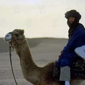 Bilder Warren Beatty