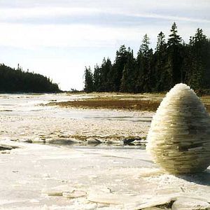 Bilder Thomas Riedelsheimer