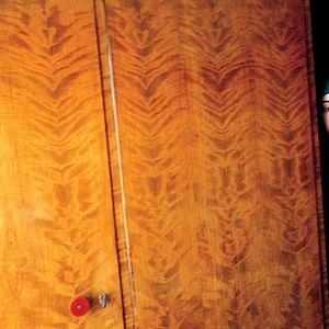 Bilder Saverio Costanzo