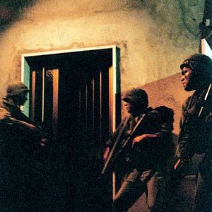 Bilder Saverio Costanzo