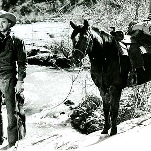 Bilder Nacht in der Prärie