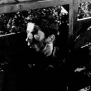 Bilder They Live by Night