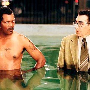 Bilder Cool And Fool