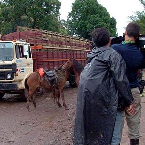 Bilder Der Unsterbliche