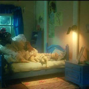 Bilder Garri Bardine