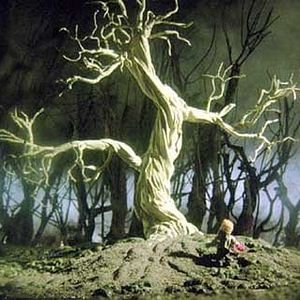 Bilder Garri Bardine