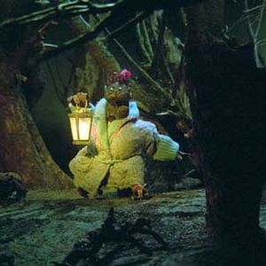 Bilder Garri Bardine