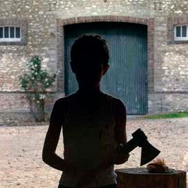 Bilder Michael Haneke