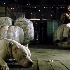 Bilder Juan Villegas