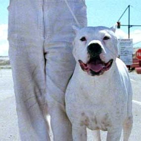 Bilder Bombón – Eine Geschichte aus Patagonien