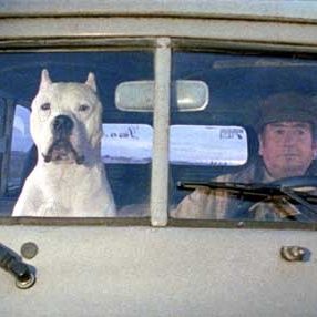 Bilder Juan Villegas