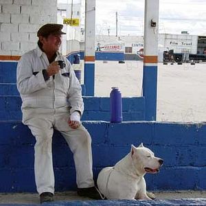 Bilder Juan Villegas